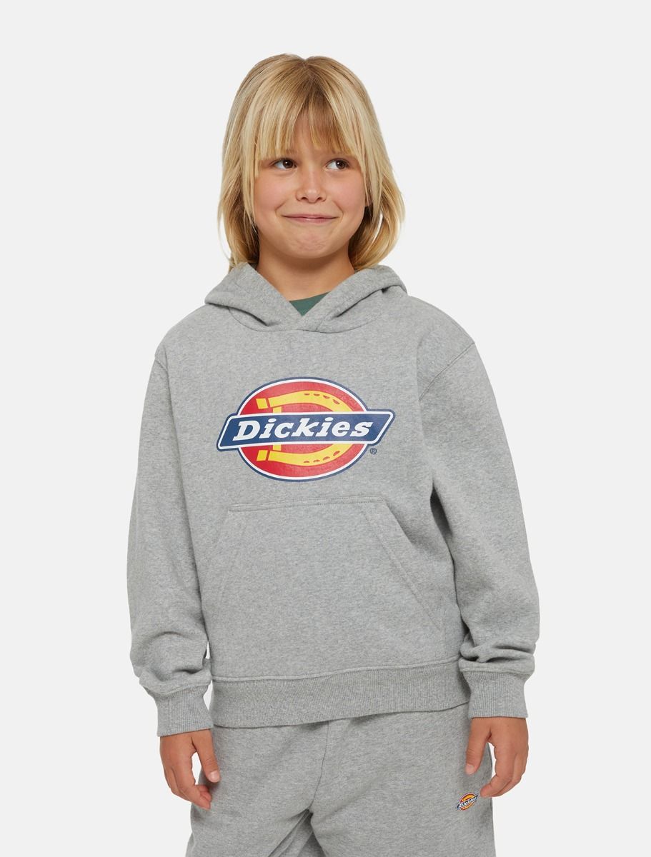 FELPA  DICKIES YOUTH LOGO DK0KWR270H21 GREY