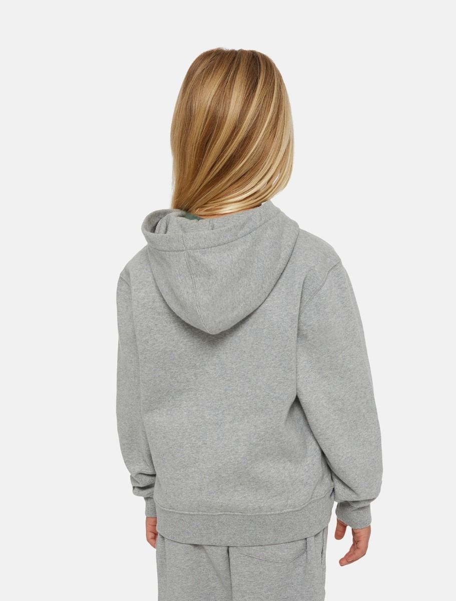 FELPA  DICKIES YOUTH LOGO DK0KWR270H21 GREY