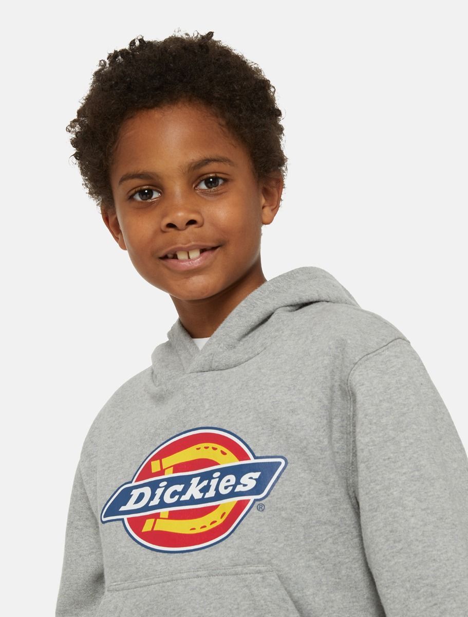 FELPA  DICKIES YOUTH LOGO DK0KWR270H21 GREY