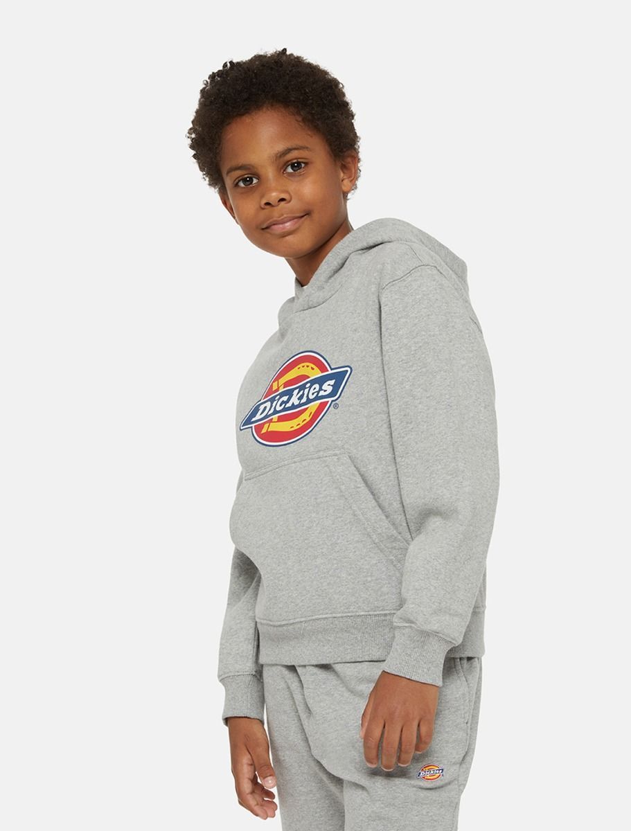 FELPA  DICKIES YOUTH LOGO DK0KWR270H21 GREY