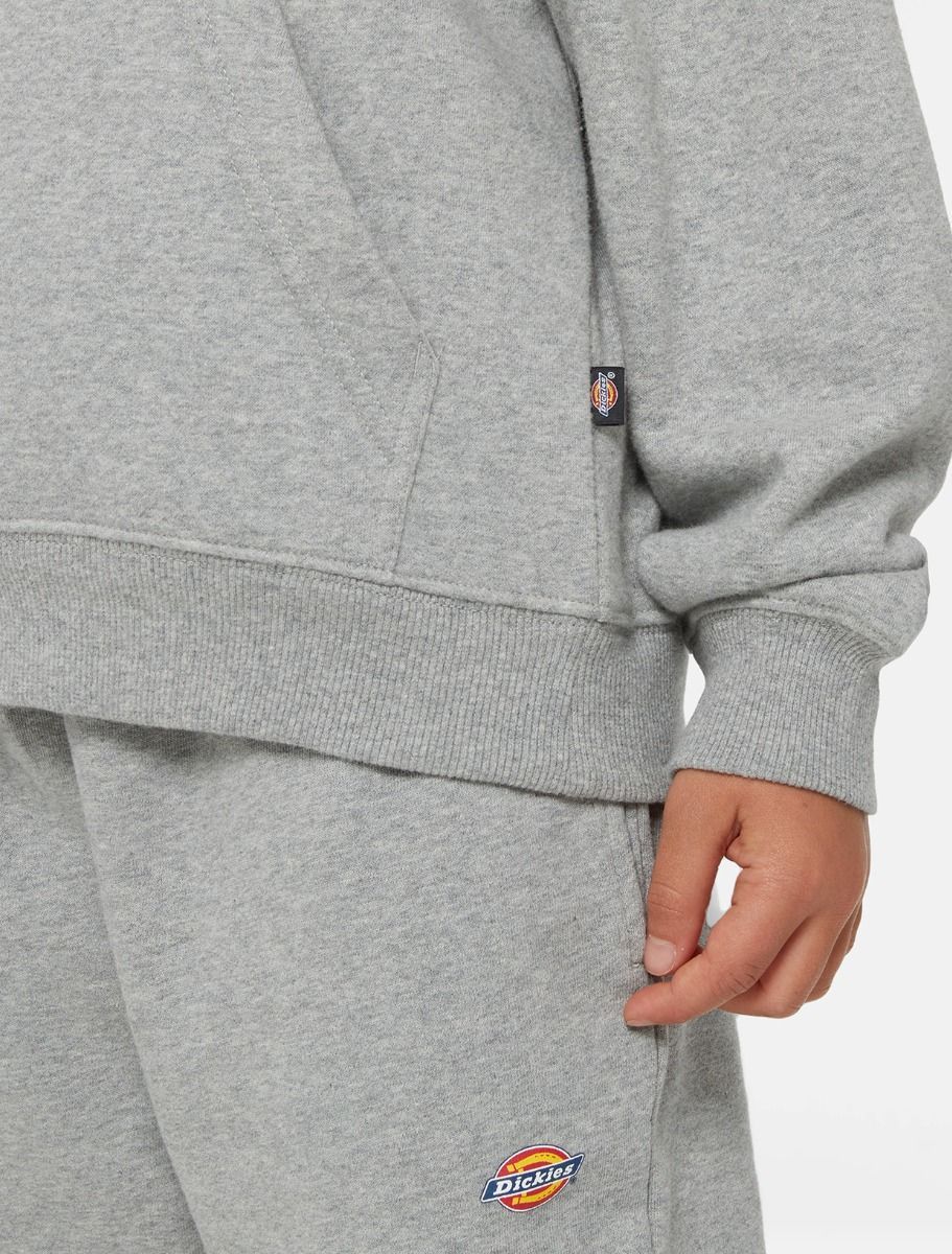 FELPA  DICKIES YOUTH LOGO DK0KWR270H21 GREY