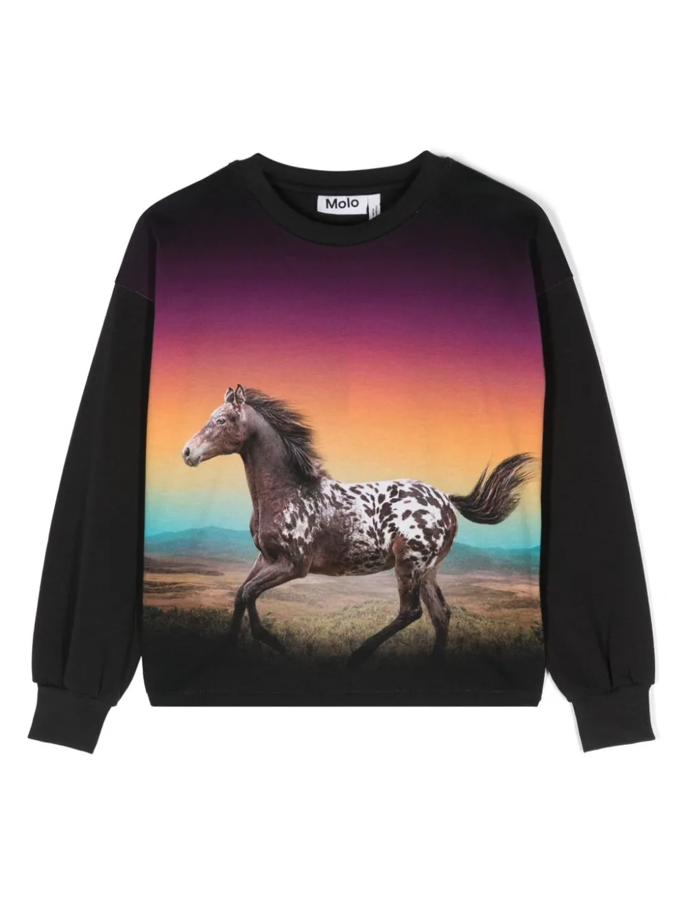 Felpa Reniza con stampa per bambina Molo nero con stampa con cavallo