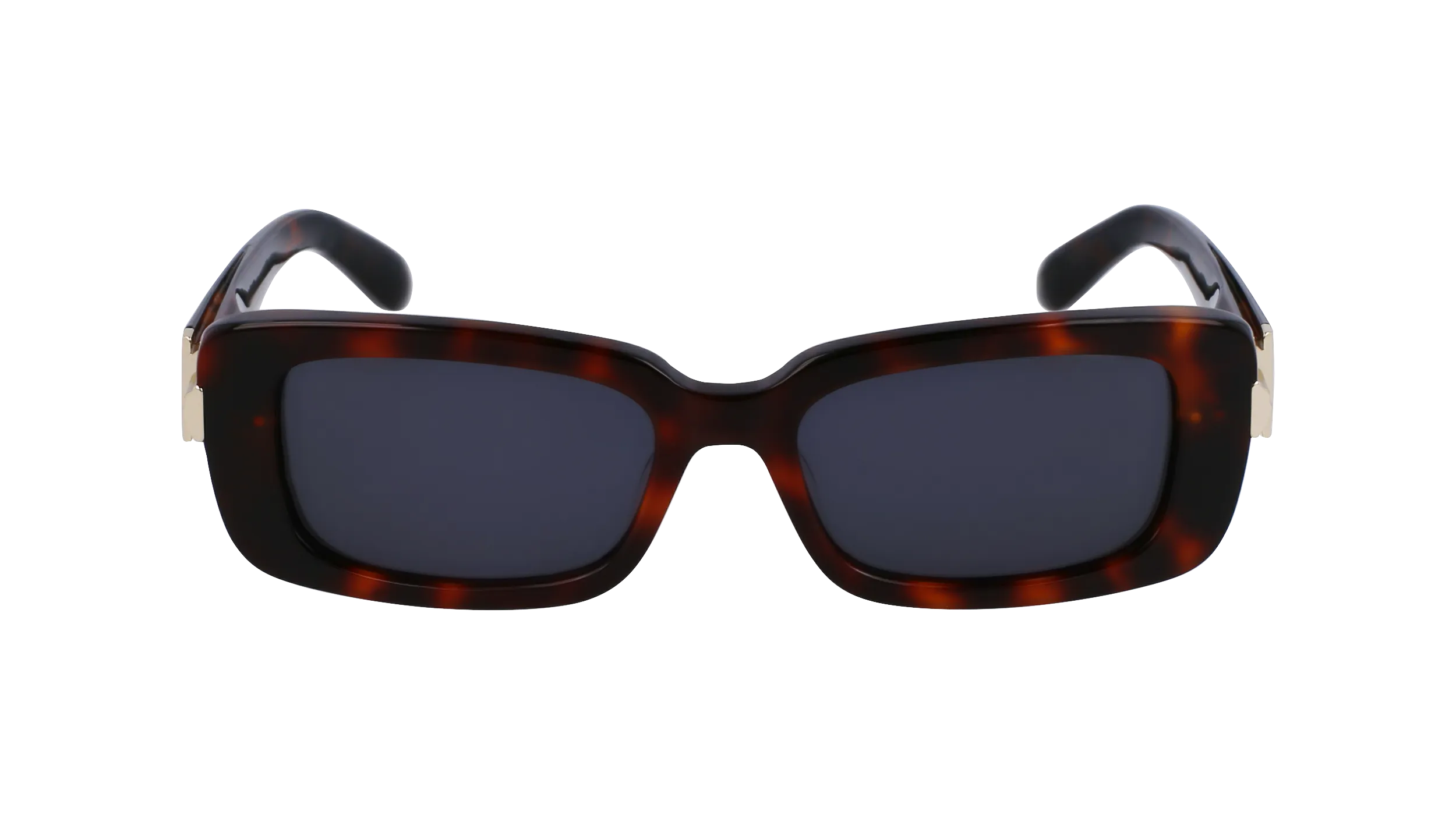   Ferragamo SF1105S 240