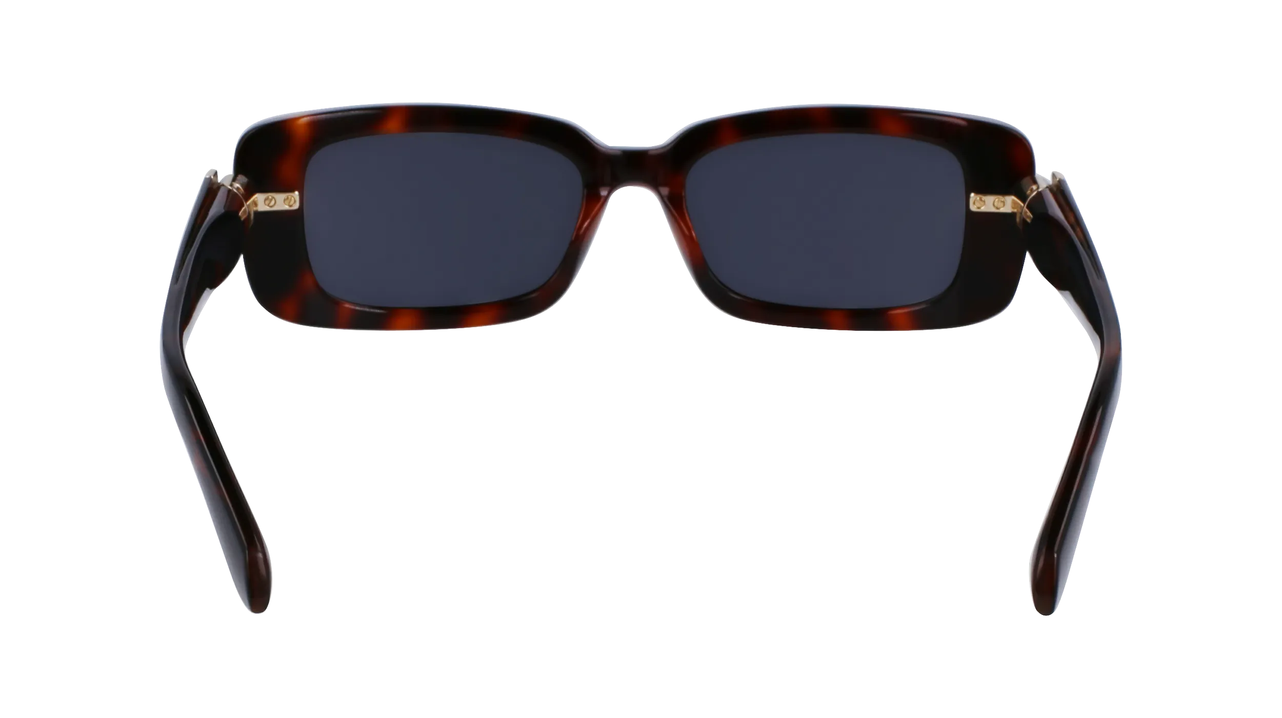   Ferragamo SF1105S 240