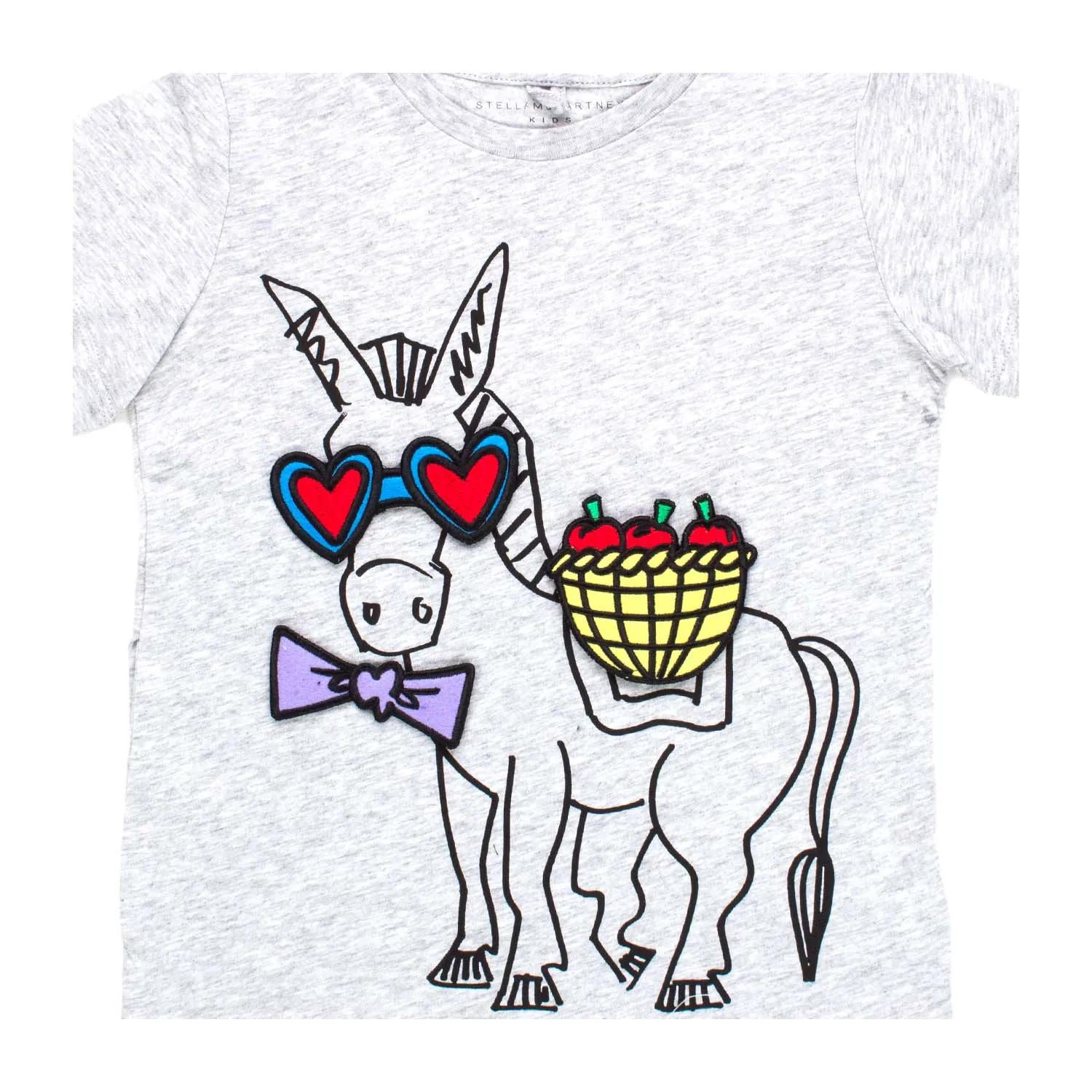 T-Shirt Arlow Grigia Bambina